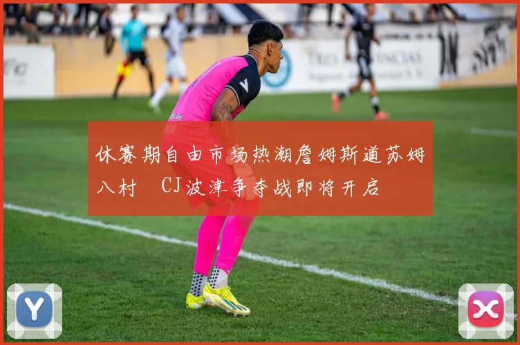 休赛期自由市场热潮詹姆斯道苏姆八村塁CJ波津争夺战即将开启